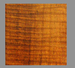 Maple Colour Wood